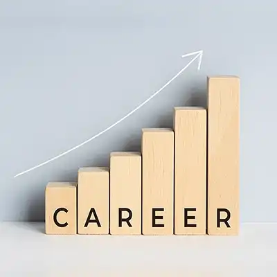 Career