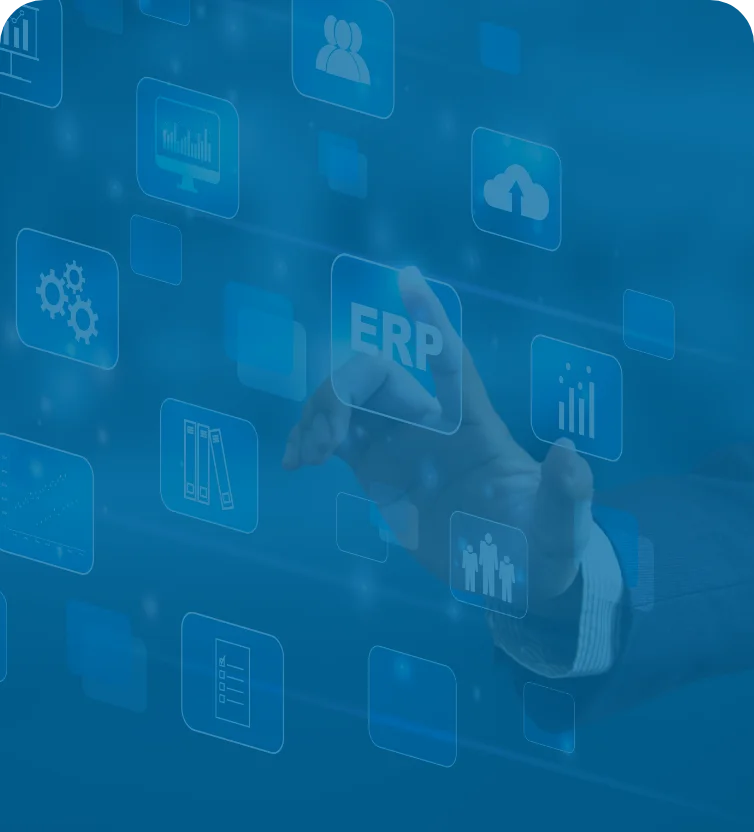 ERP for Footwear industry